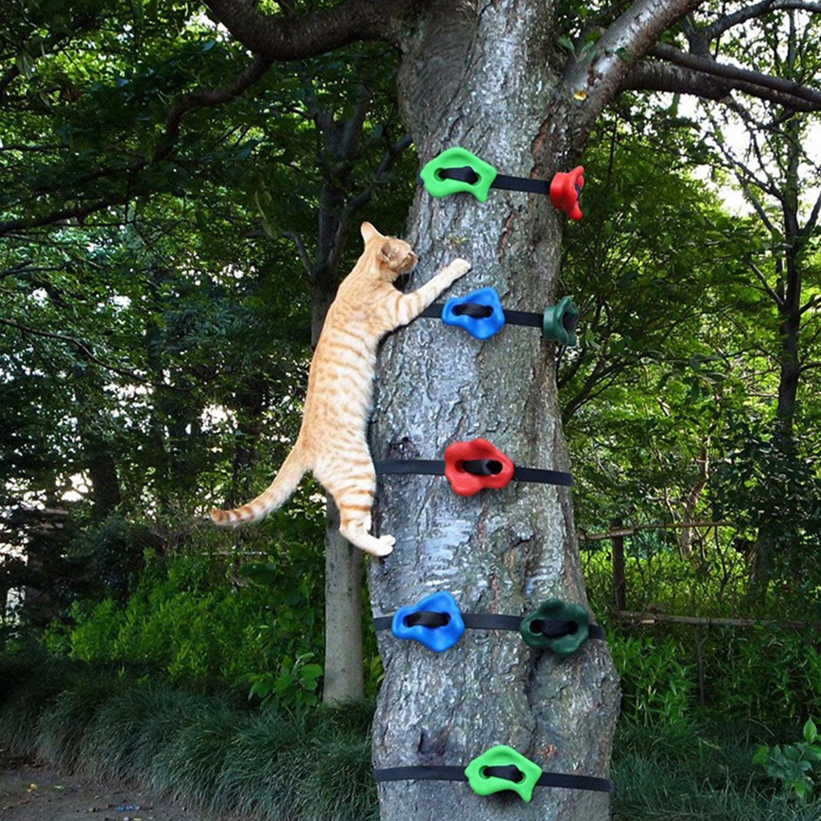 Tree Climbing Gear Adjustable  - огляд і ціна Heavy Equipment Course